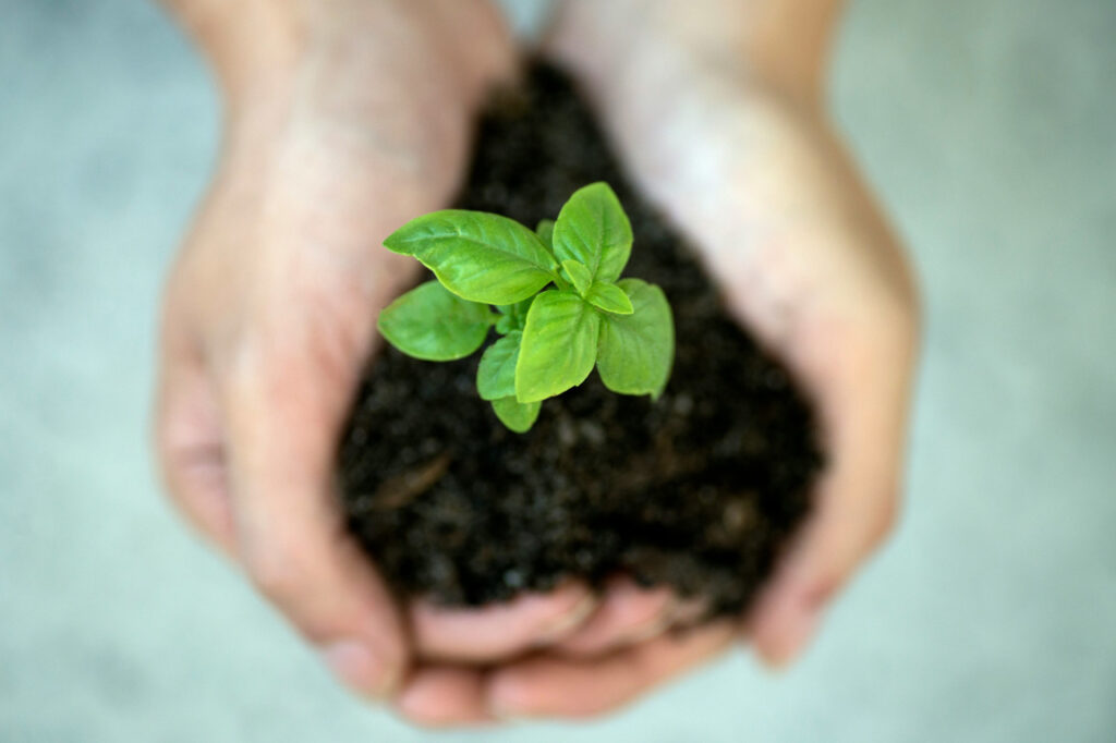 Humanistic Spiritual Values