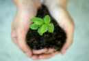 Humanistic Spiritual Values