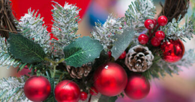 Celebrate The Holidays